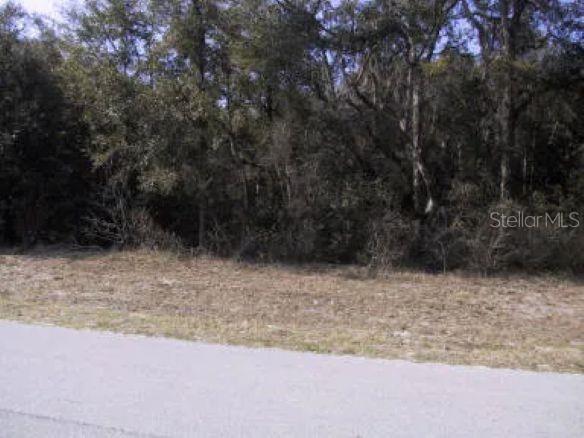 5 W PARK AVE, CHIEFLAND, FL, 32626