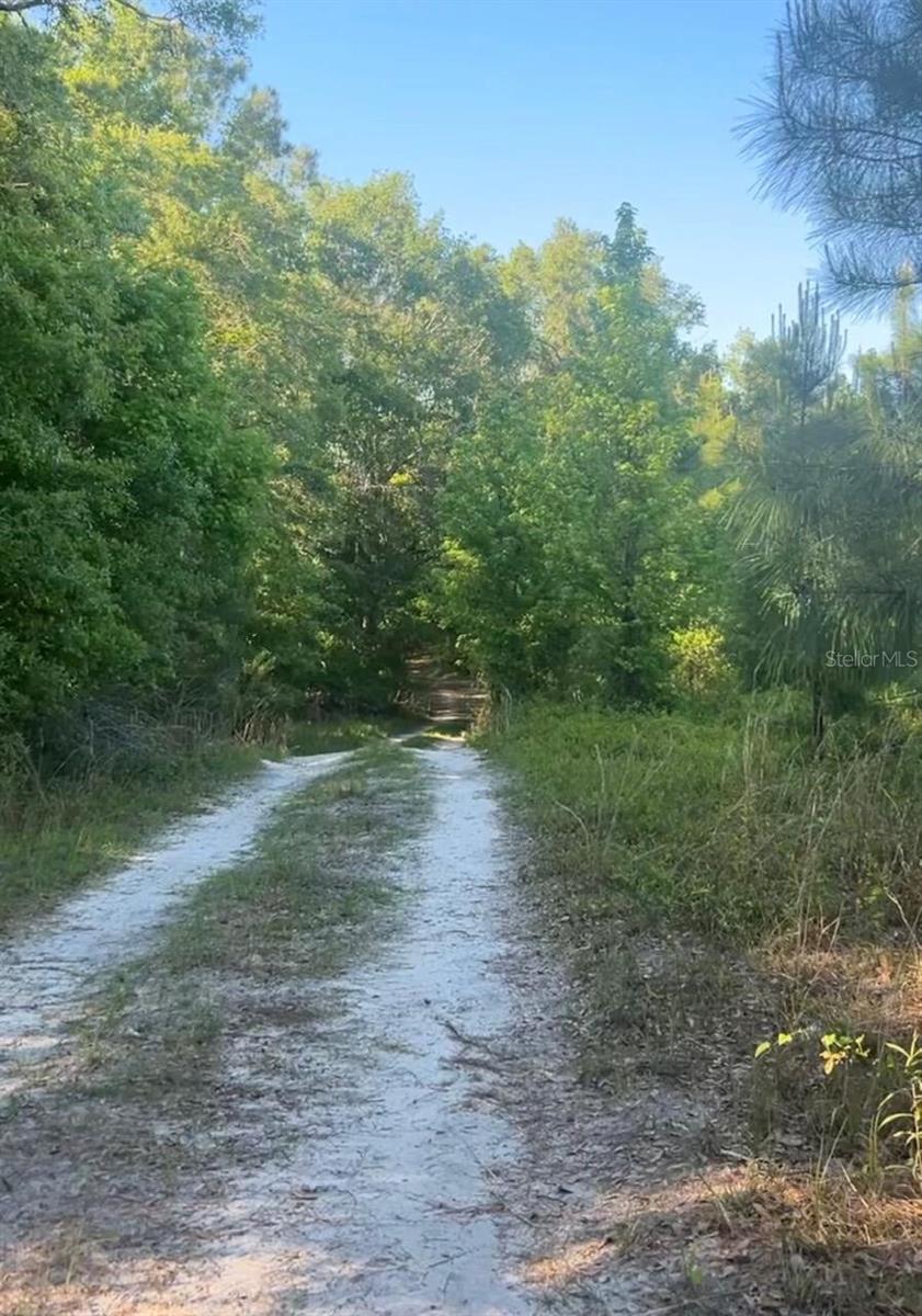 SW COUNTY ROAD 778, FORT WHITE, FL, 32038