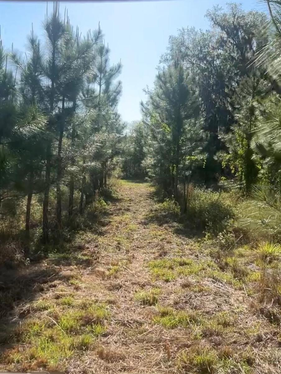 SW COUNTY ROAD 778, FORT WHITE, FL, 32038
