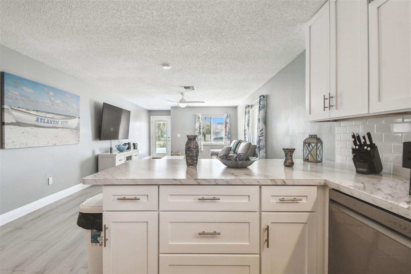 3160 DOWNING ST, CLEARWATER, FL, 33759