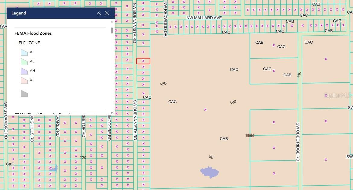 TBD SW BUENA VISTA RD, DUNNELLON, FL, FL, 34431