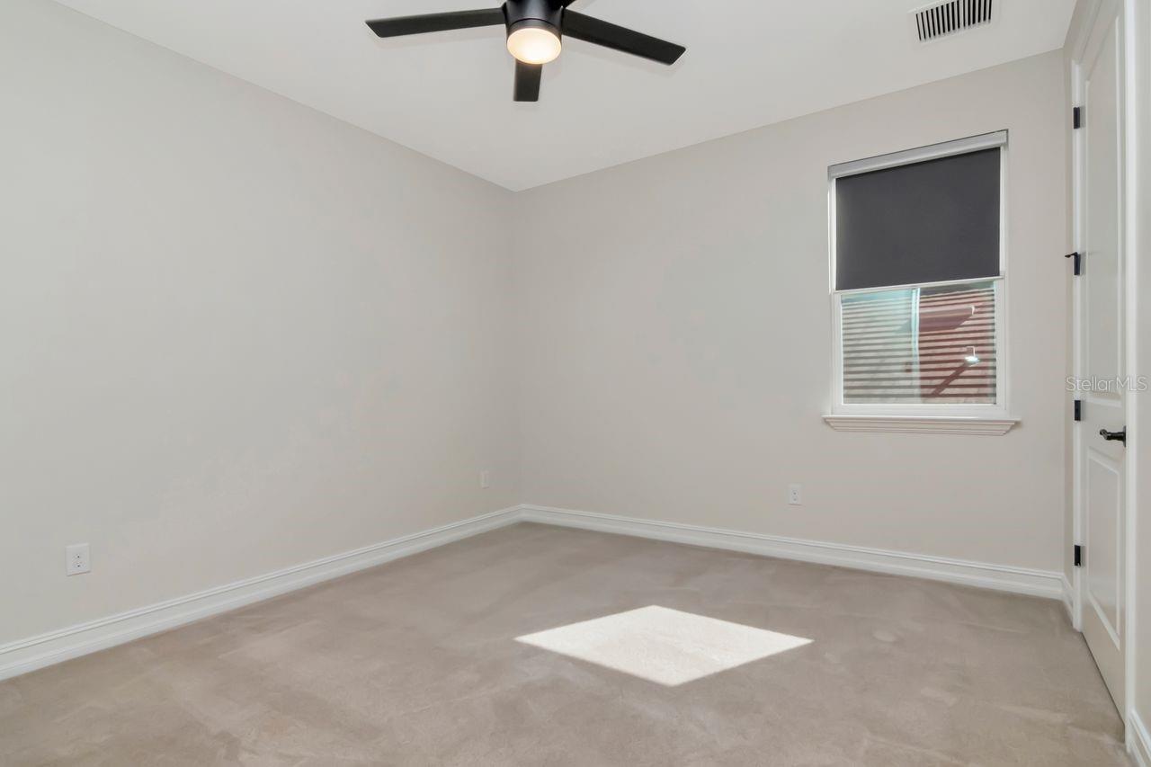 29542 PICANA LN, WESLEY CHAPEL, FL, 33543