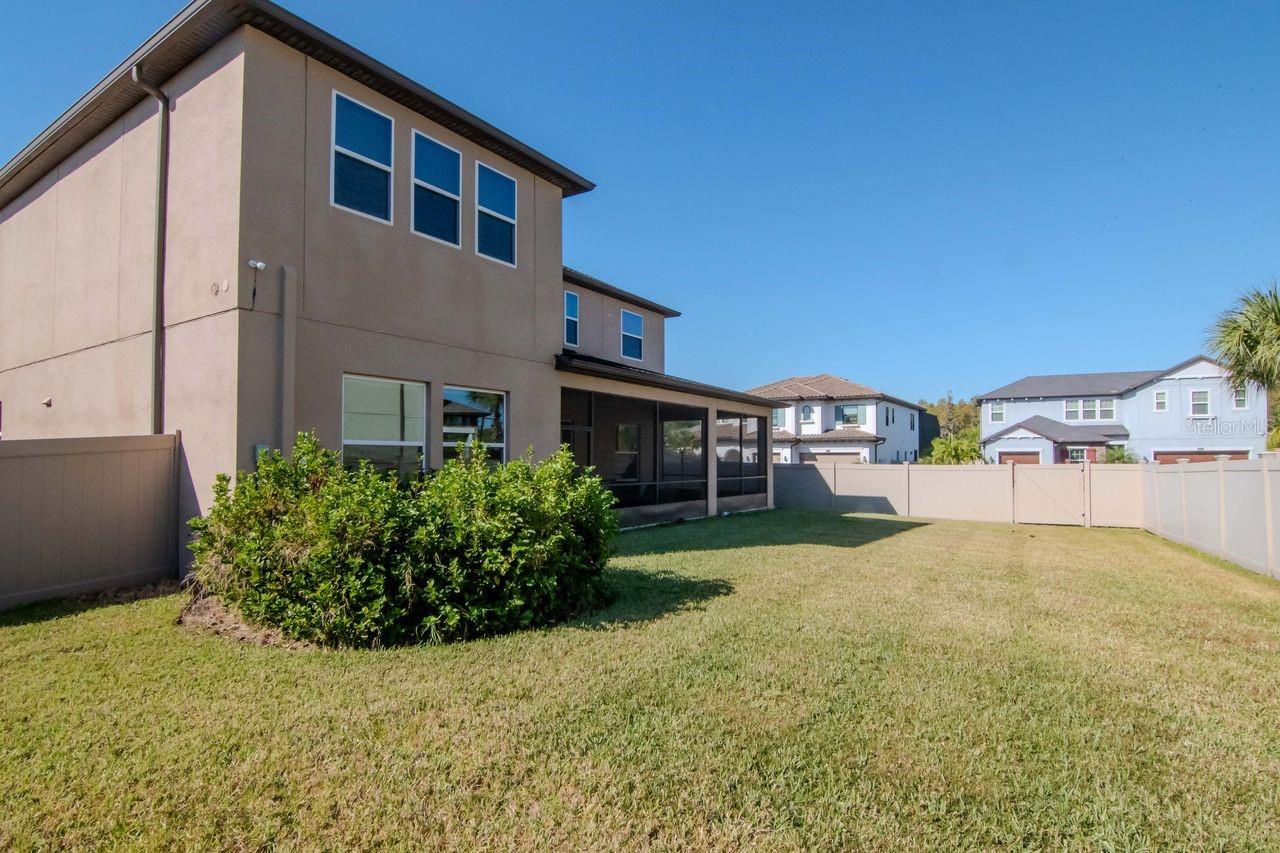 29542 PICANA LN, WESLEY CHAPEL, FL, 33543