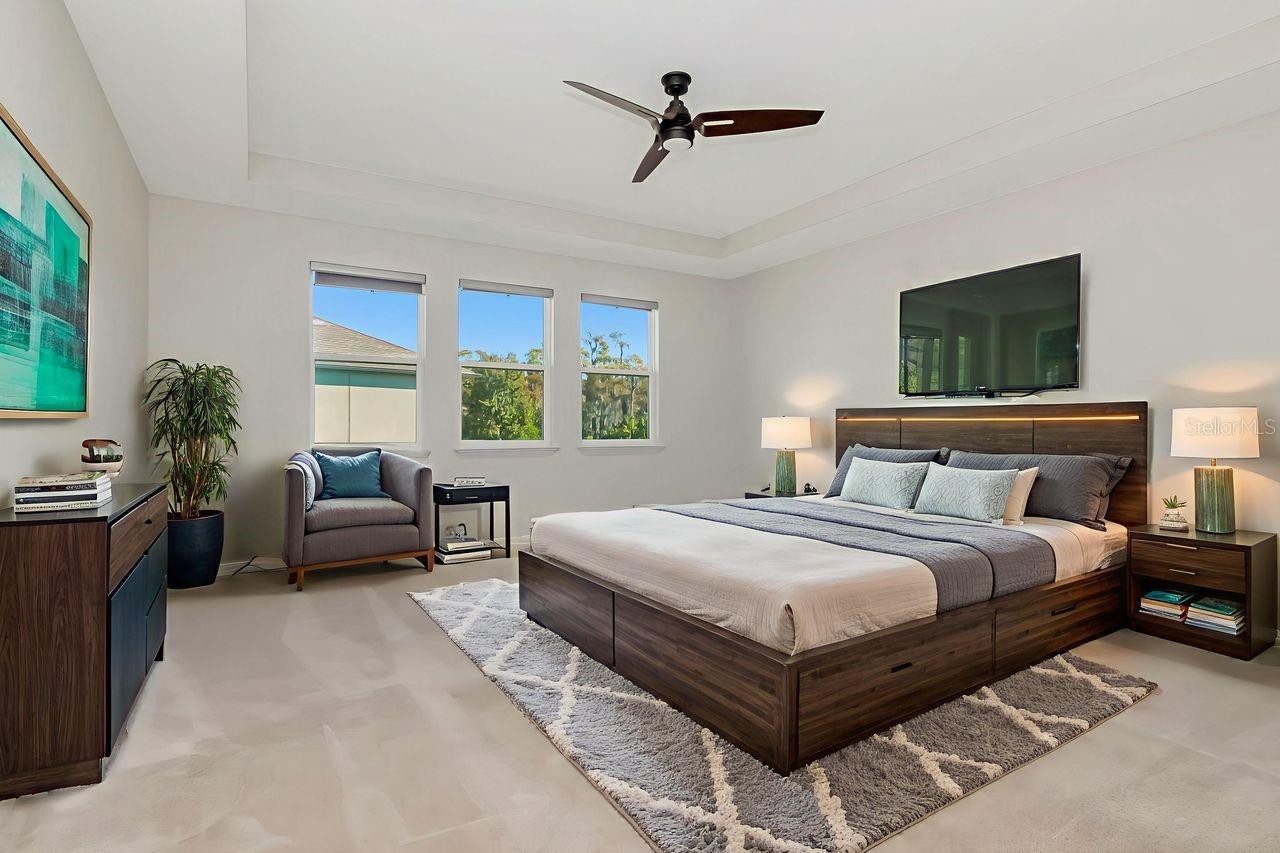 29542 PICANA LN, WESLEY CHAPEL, FL, 33543