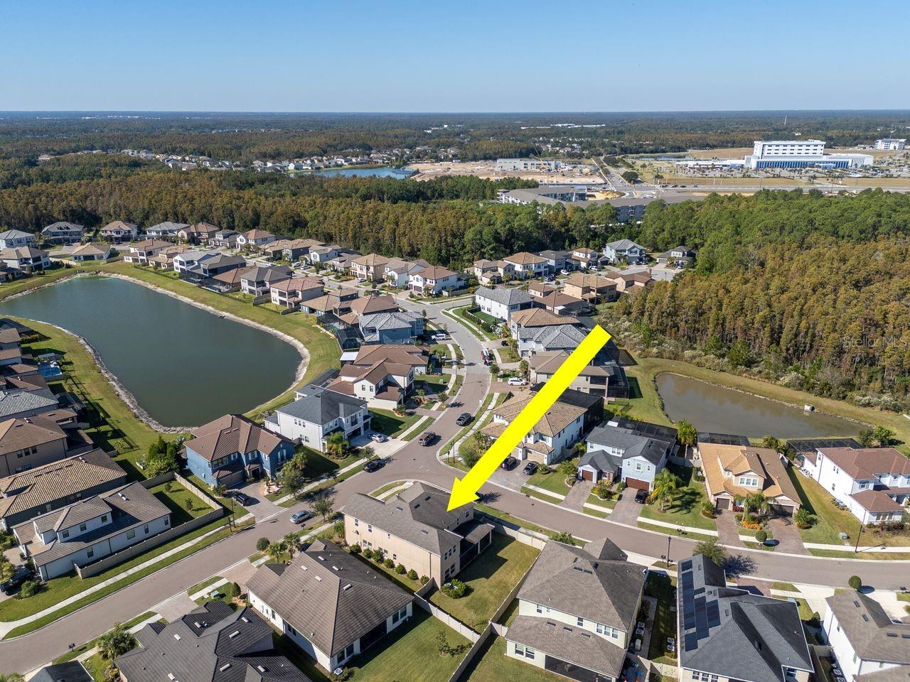 29542 PICANA LN, WESLEY CHAPEL, FL, 33543