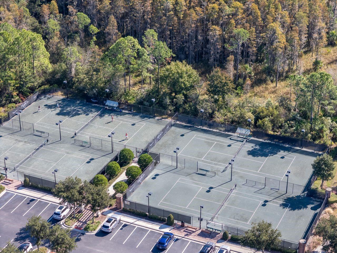 29542 PICANA LN, WESLEY CHAPEL, FL, 33543