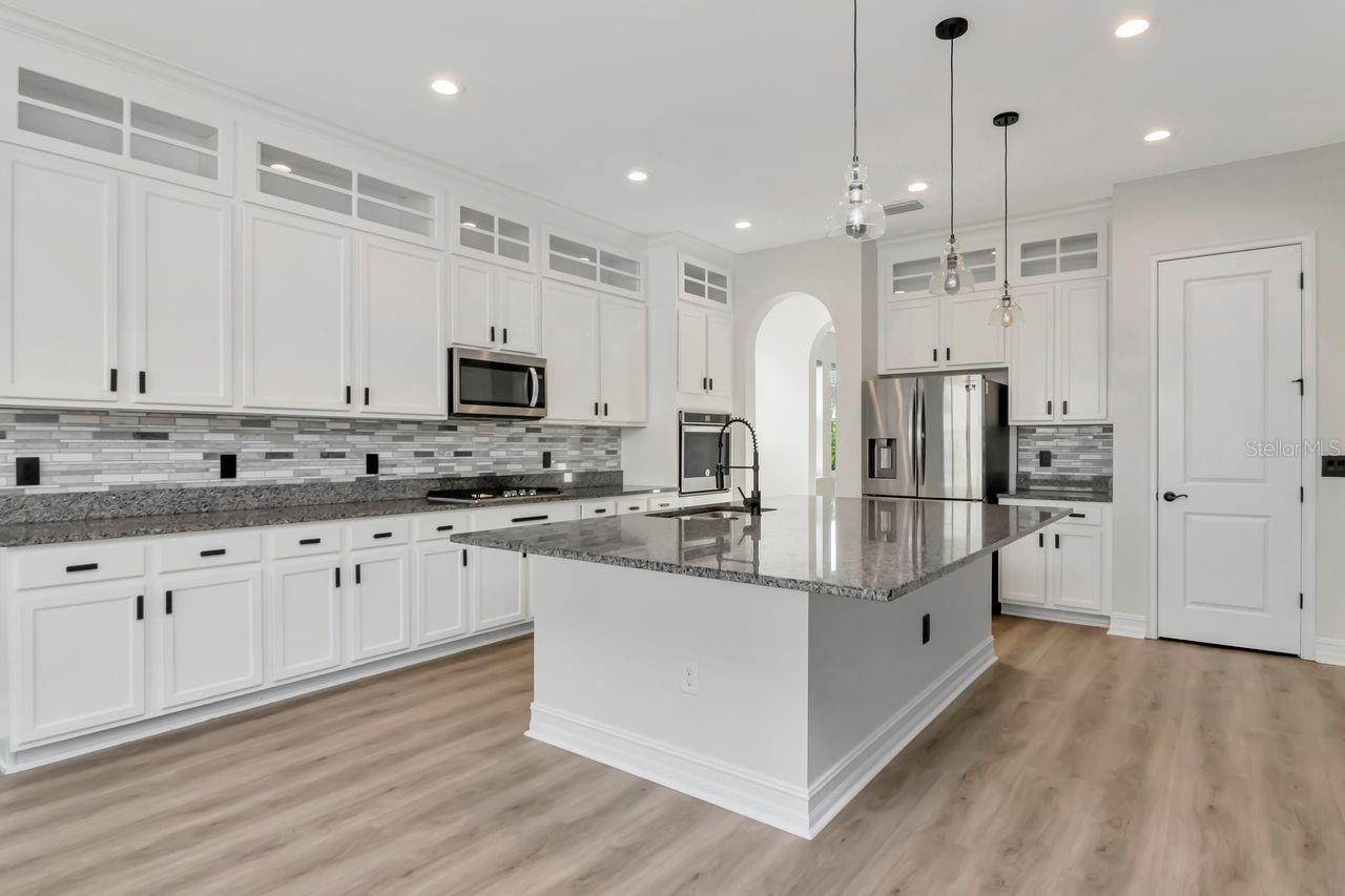 29542 PICANA LN, WESLEY CHAPEL, FL, 33543