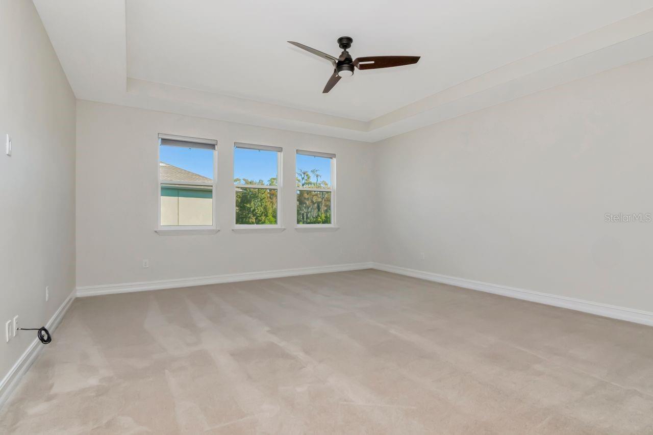 29542 PICANA LN, WESLEY CHAPEL, FL, 33543