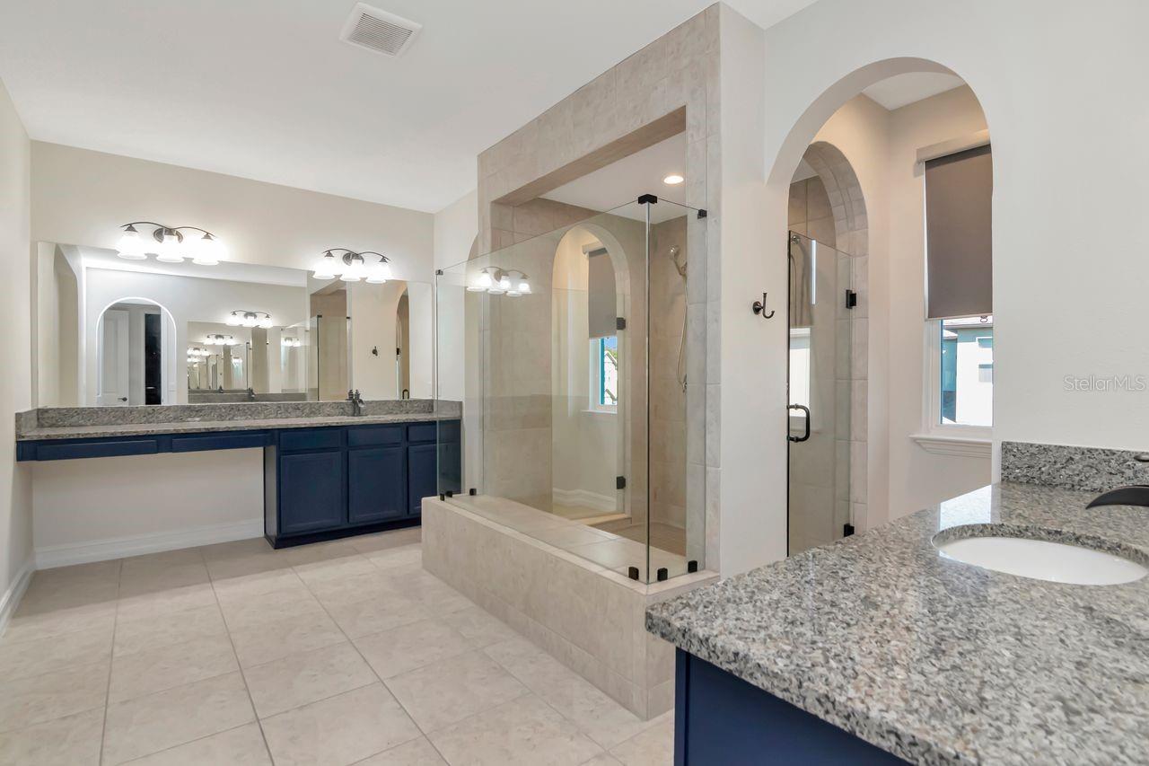 29542 PICANA LN, WESLEY CHAPEL, FL, 33543