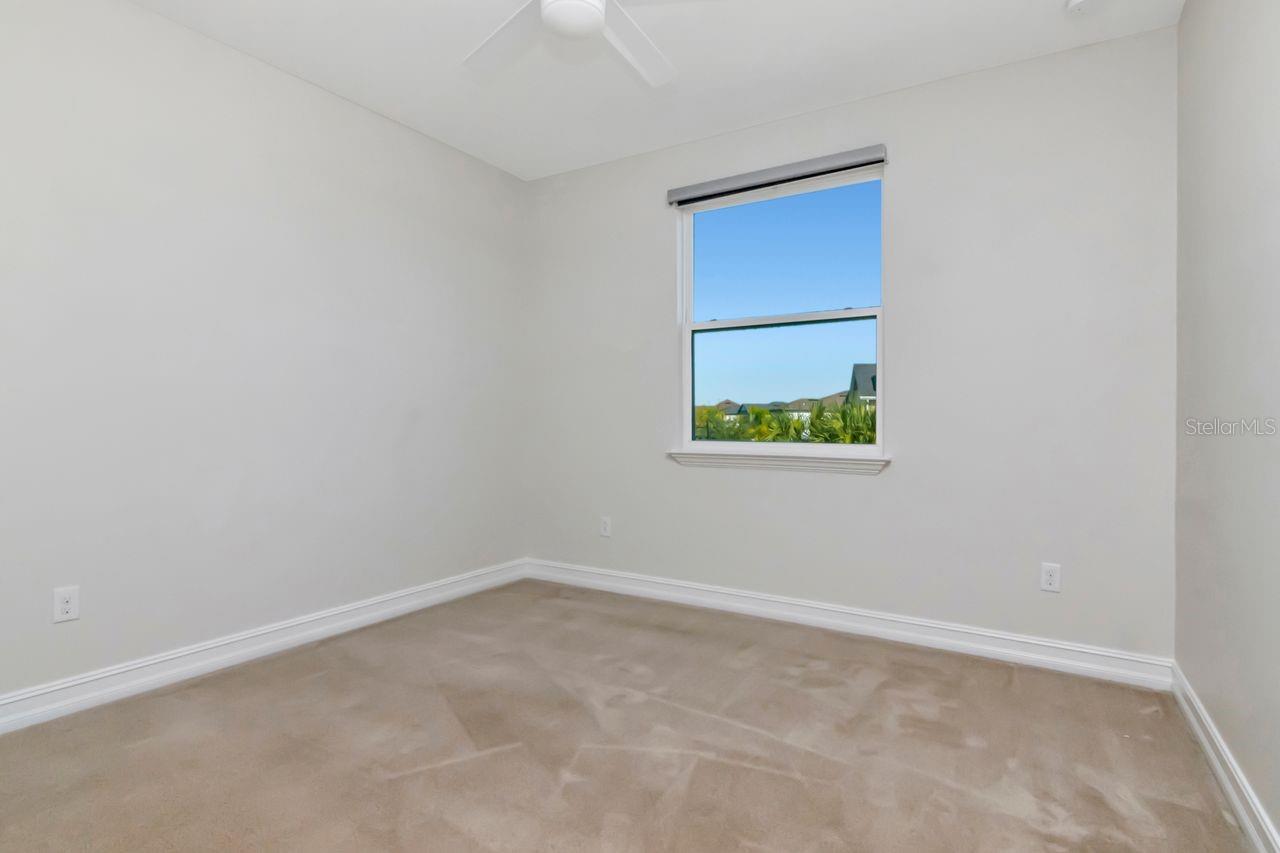 29542 PICANA LN, WESLEY CHAPEL, FL, 33543