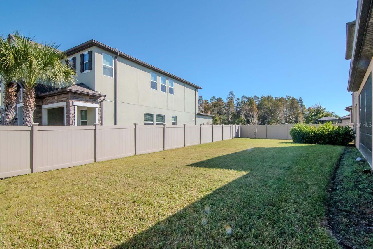 29542 PICANA LN, WESLEY CHAPEL, FL, 33543