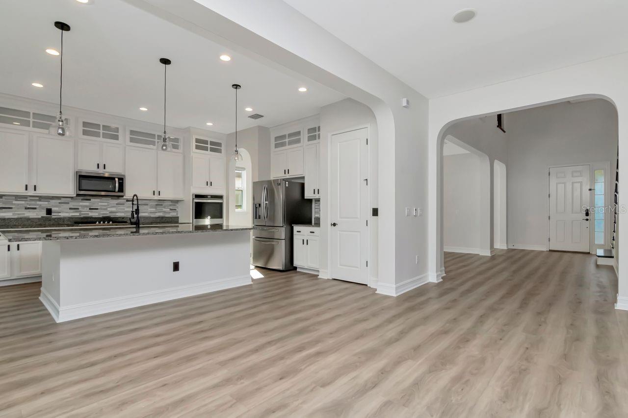 29542 PICANA LN, WESLEY CHAPEL, FL, 33543