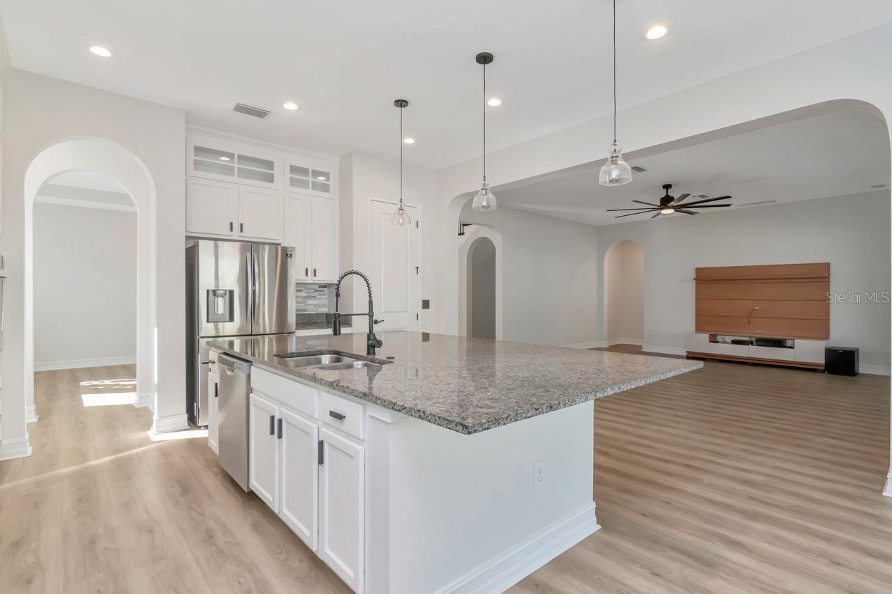 29542 PICANA LN, WESLEY CHAPEL, FL, 33543