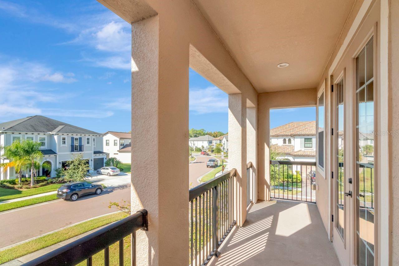 29542 PICANA LN, WESLEY CHAPEL, FL, 33543