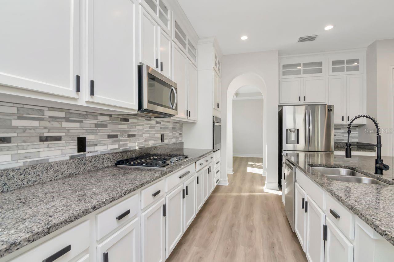 29542 PICANA LN, WESLEY CHAPEL, FL, 33543