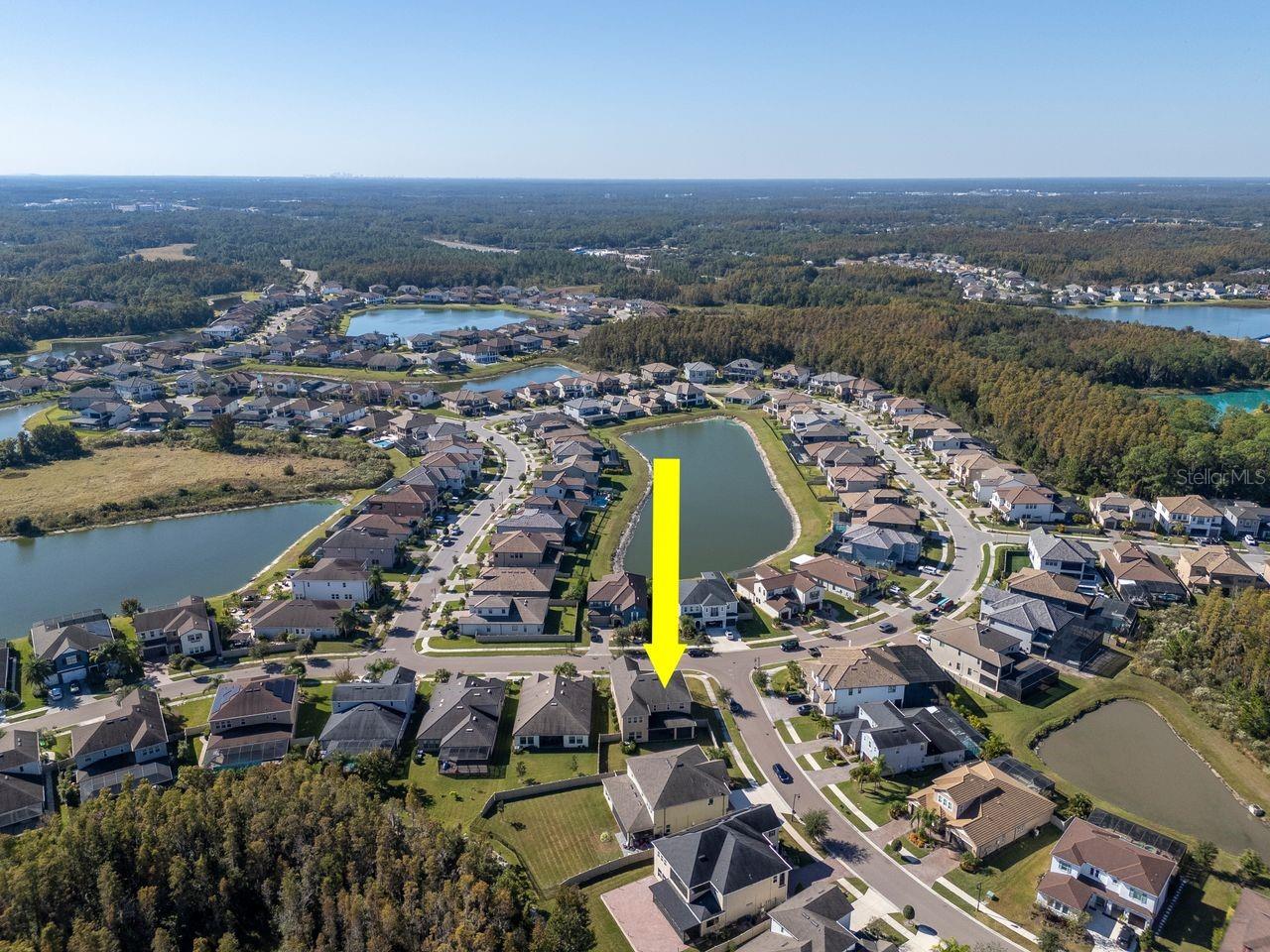 29542 PICANA LN, WESLEY CHAPEL, FL, 33543