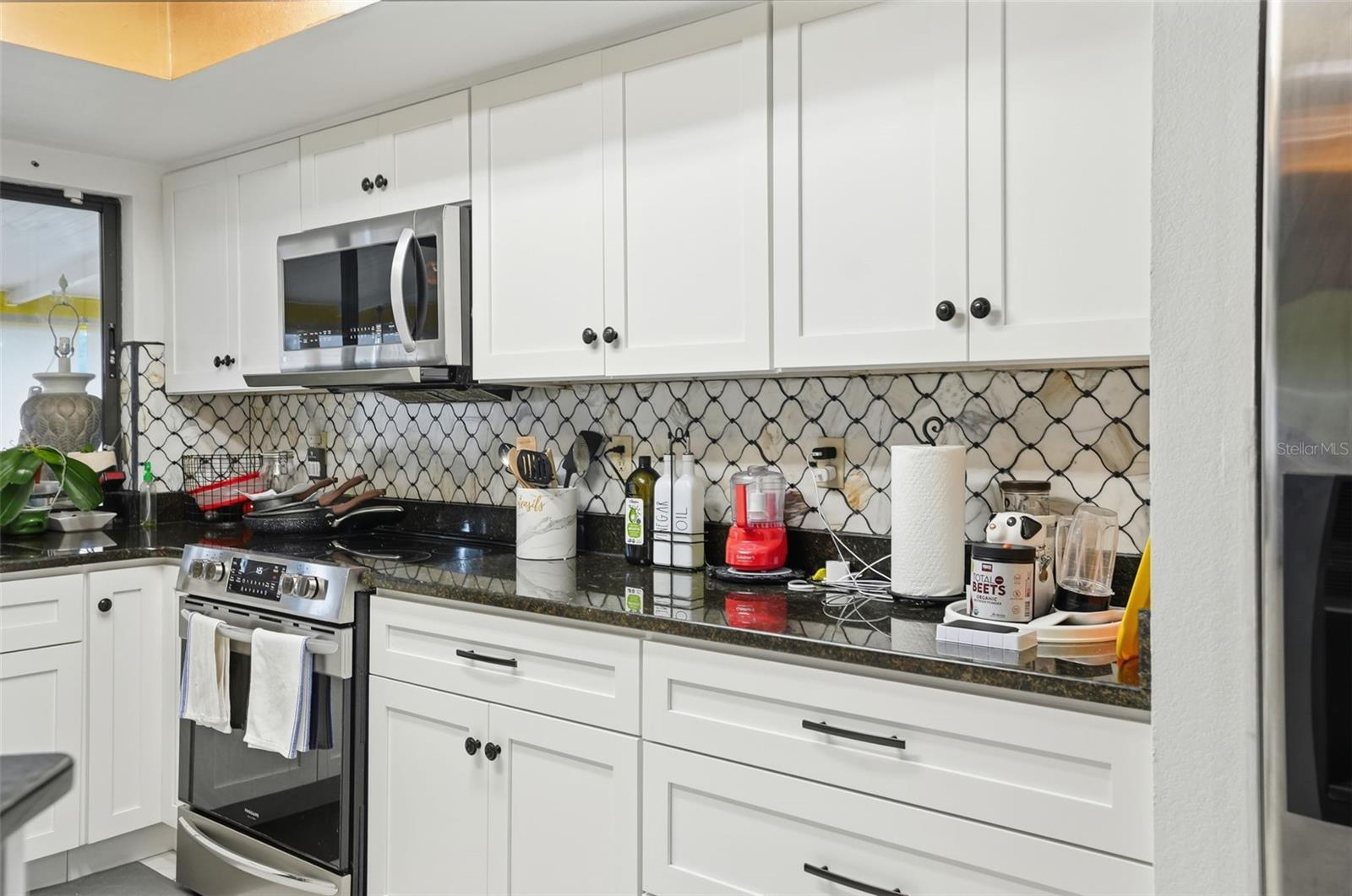 12244 SHAFTON RD, SPRING HILL, FL, 34608