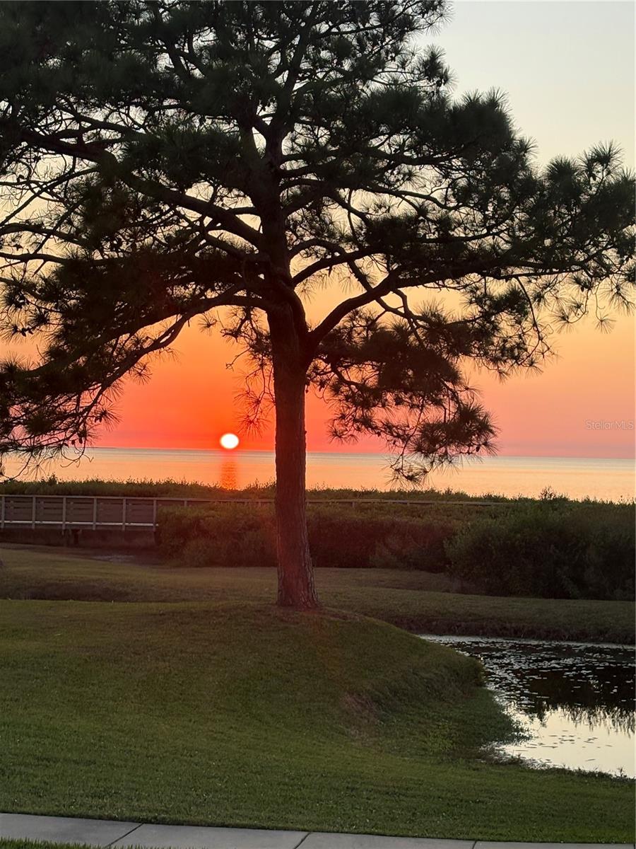 621 WINDRUSH BAY DR #621, TARPON SPRINGS, FL, 34689