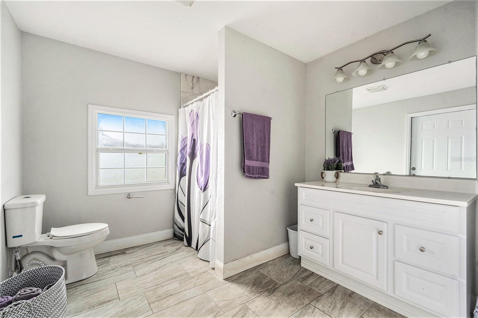 15304 PASCO LAKE DR, SPRING HILL, FL, 34610