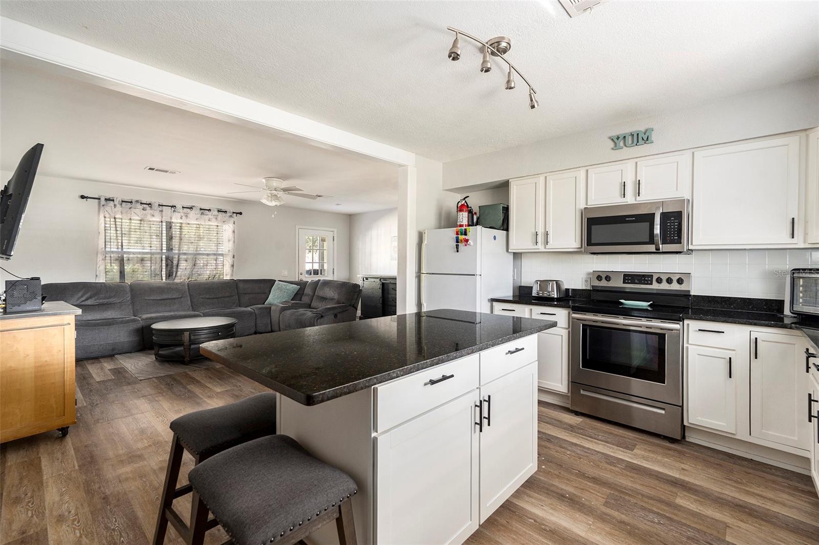 15304 PASCO LAKE DR, SPRING HILL, FL, 34610