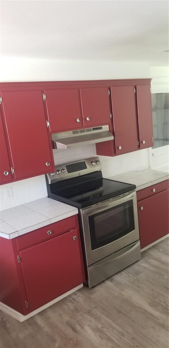 917 E 4TH AVE, MOUNT DORA, FL, 32757