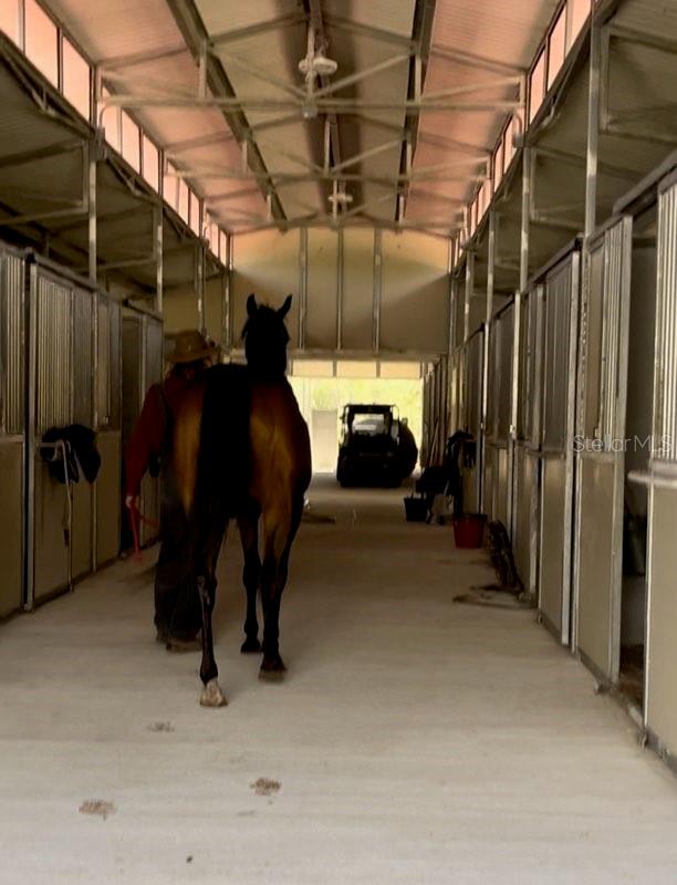 14192 ERMINE OWL RD, BROOKSVILLE, FL, 34614