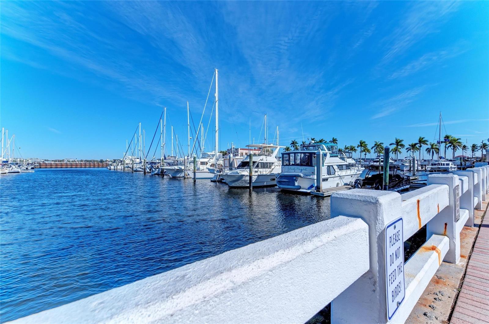 2014 RIVERSIDE DR E, BRADENTON, FL, 34208