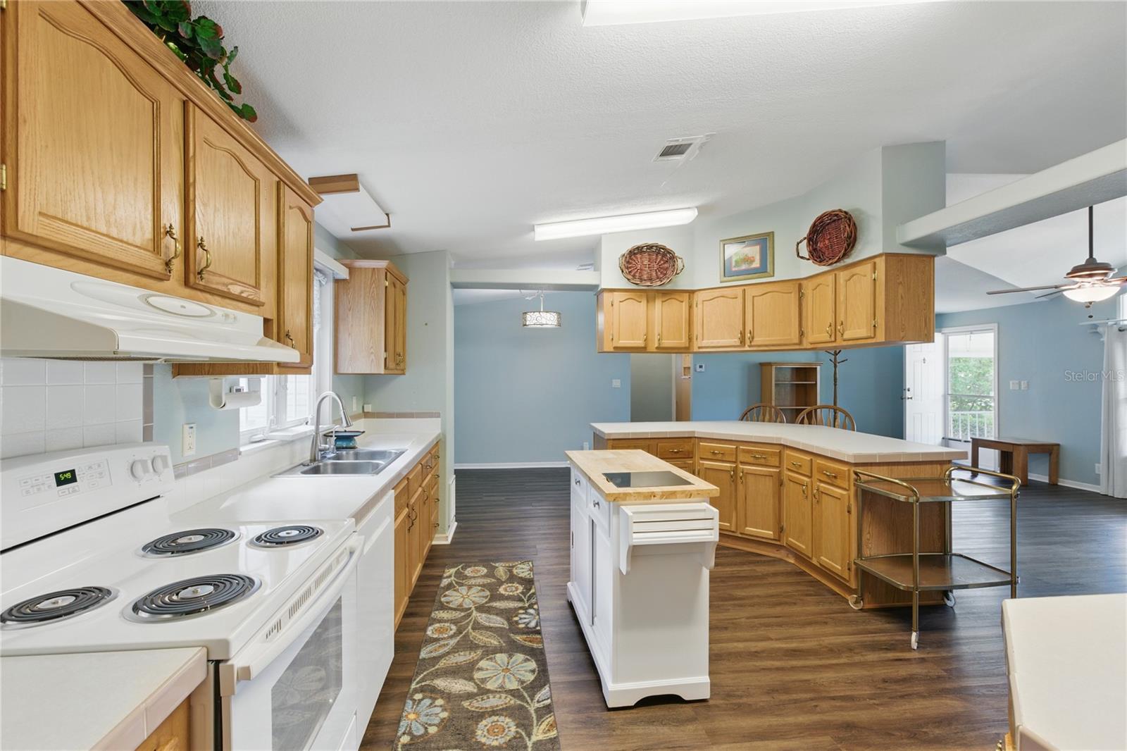 17231 NW 83RD CT, FANNING SPRINGS, FL, 32693