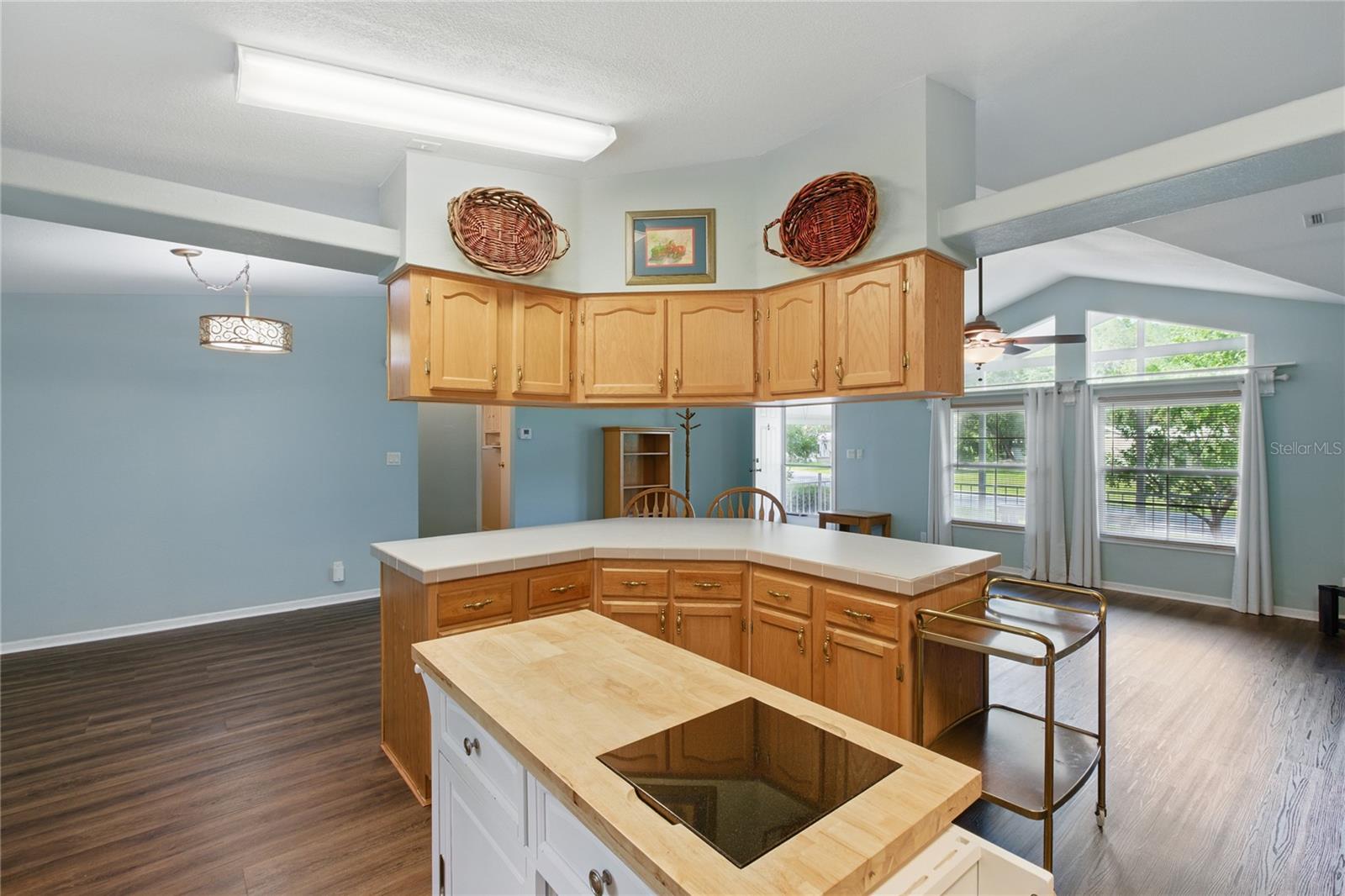 17231 NW 83RD CT, FANNING SPRINGS, FL, 32693