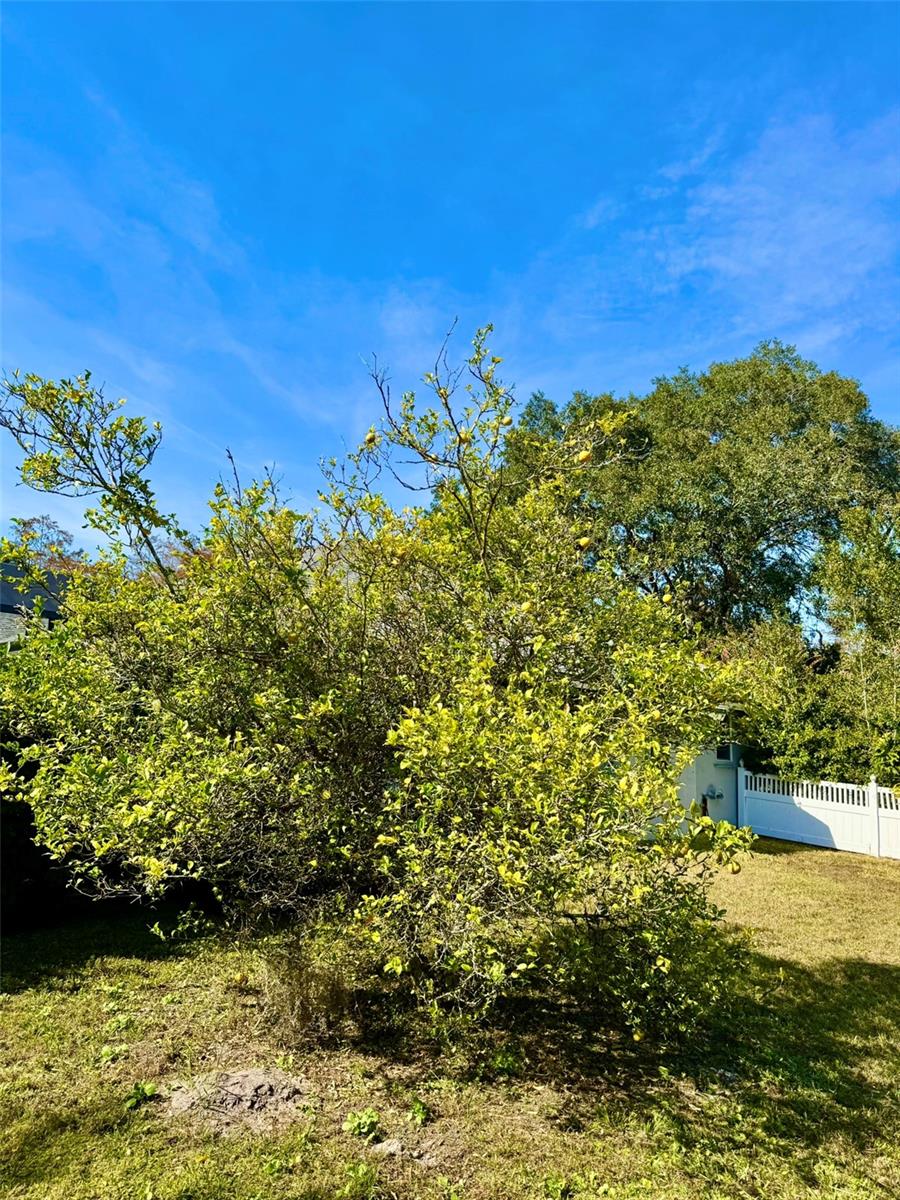 19814 MOORGATE ST, ORLANDO, FL, 32833