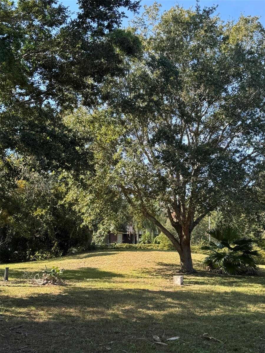 19814 MOORGATE ST, ORLANDO, FL, 32833