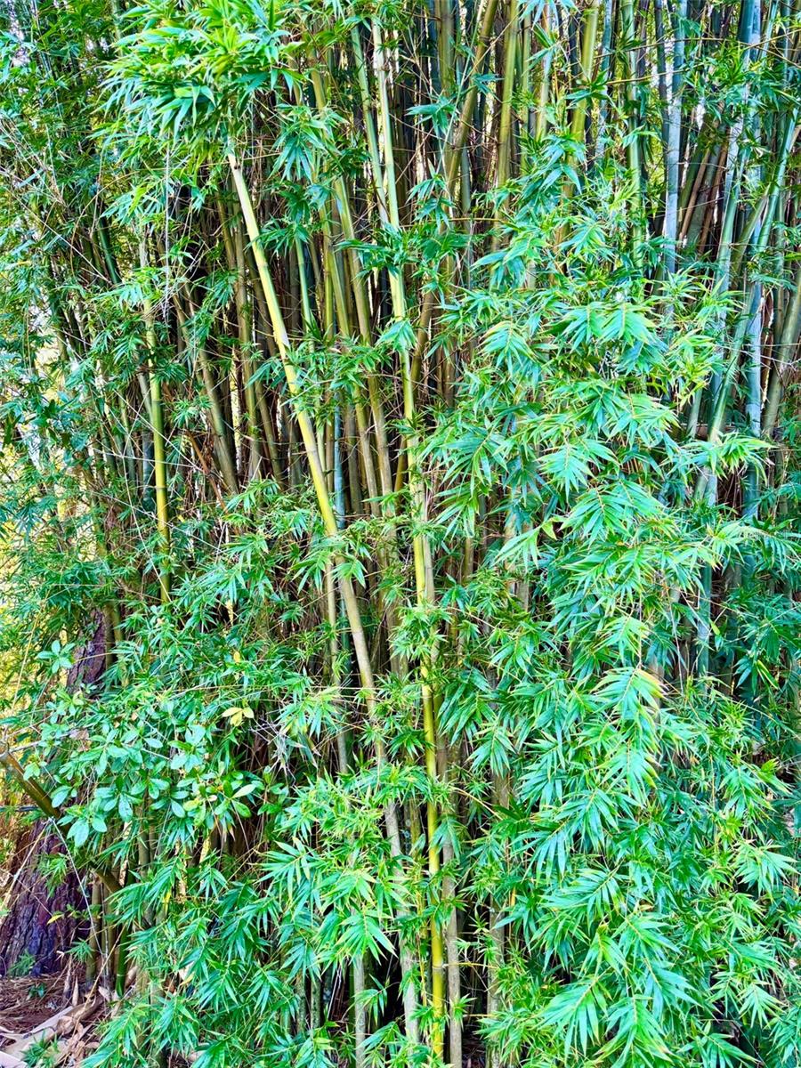 19814 MOORGATE ST, ORLANDO, FL, 32833