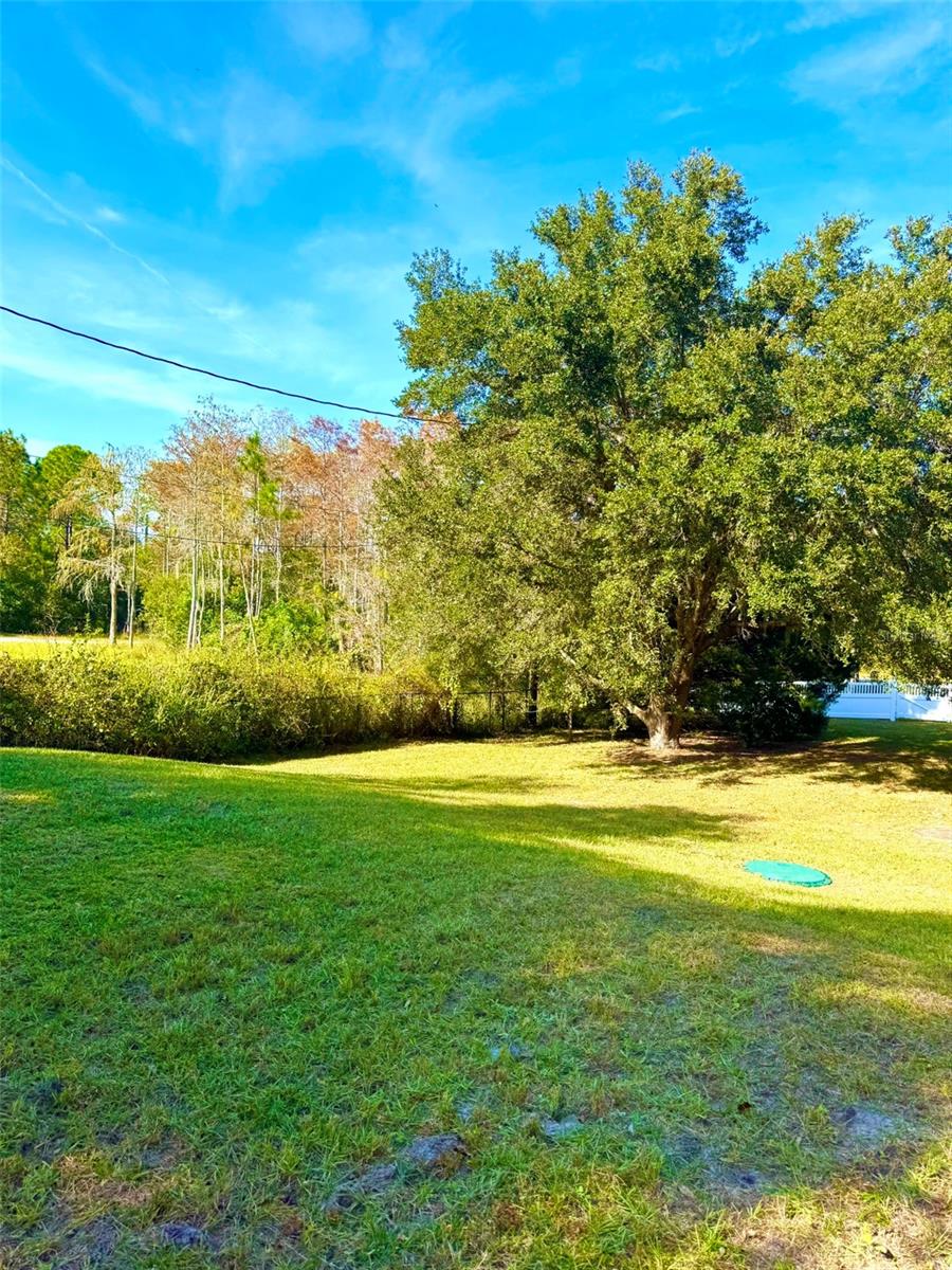 19814 MOORGATE ST, ORLANDO, FL, 32833