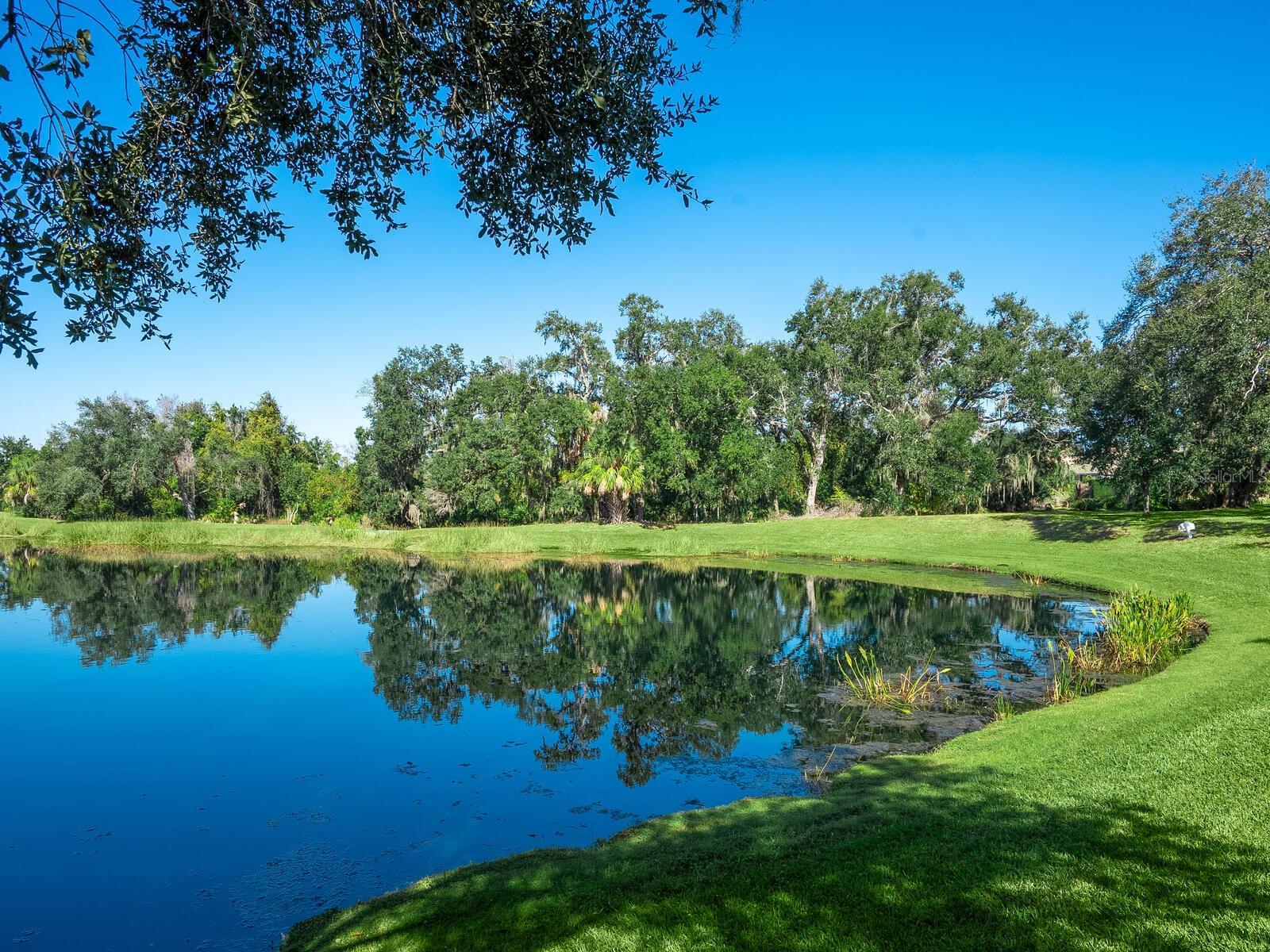 12129 THORNHILL CT, LAKEWOOD RANCH, FL, 34202