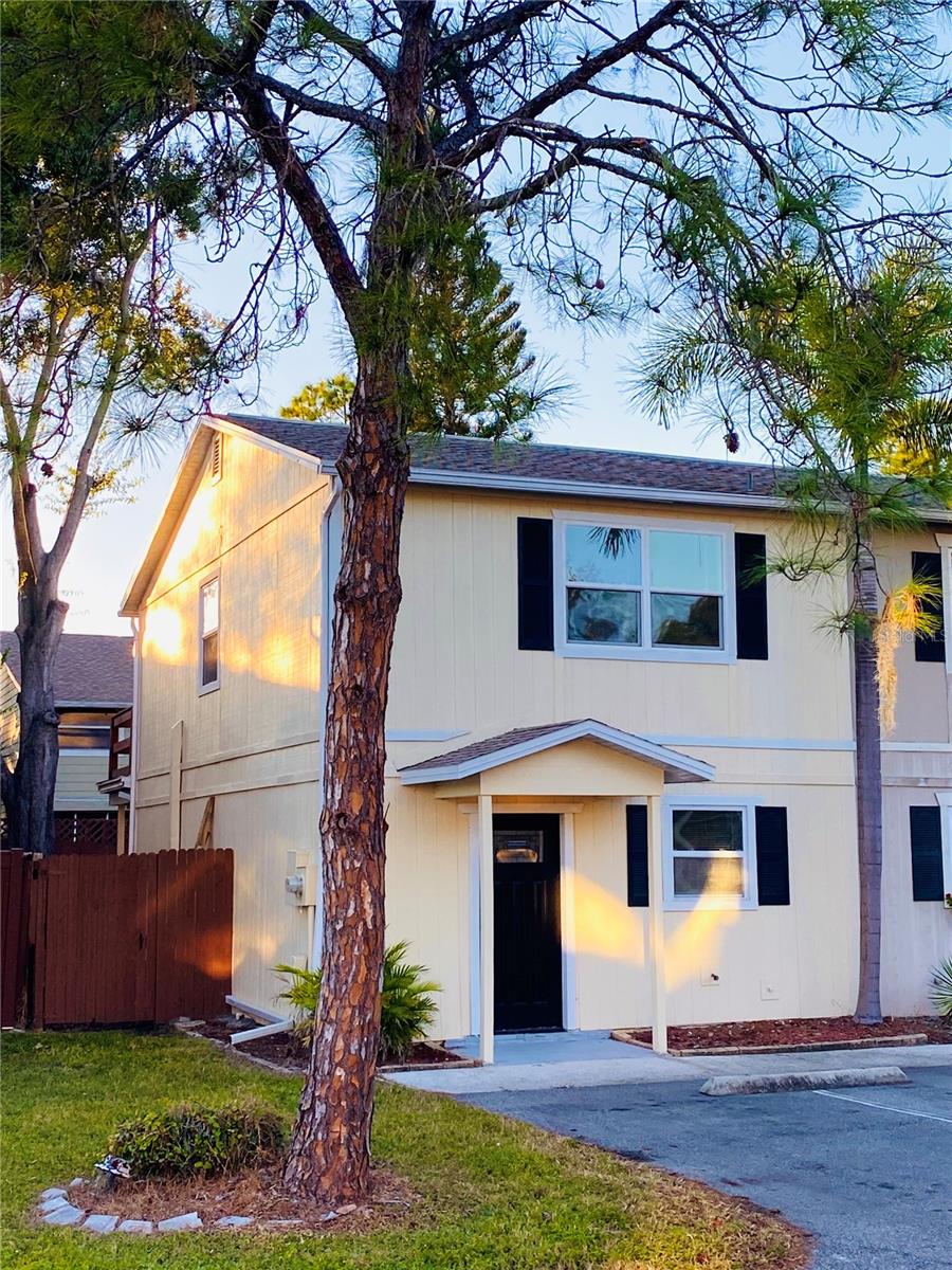 148 DOUGLAS RD W #C, OLDSMAR, FL, 34677