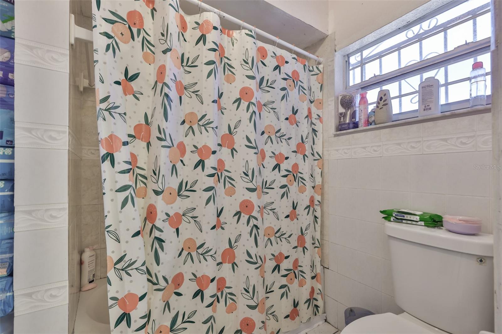 3901 N CLEARFIELD AVE, TAMPA, FL, 33603