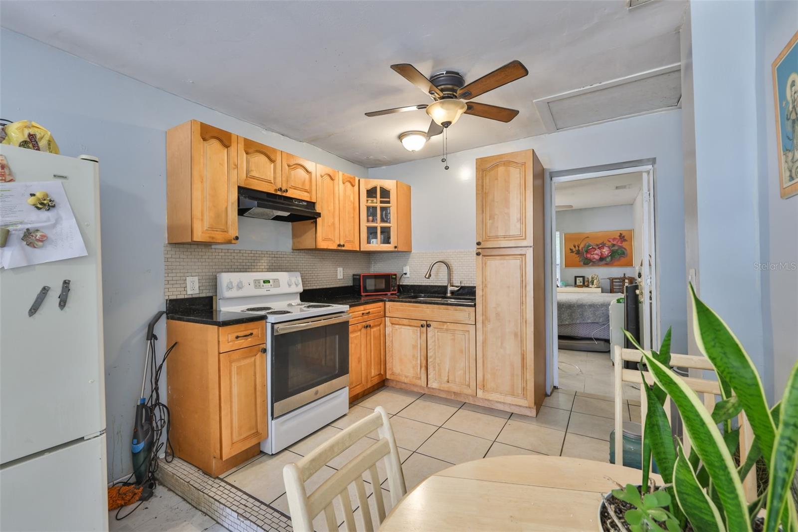 3901 N CLEARFIELD AVE, TAMPA, FL, 33603