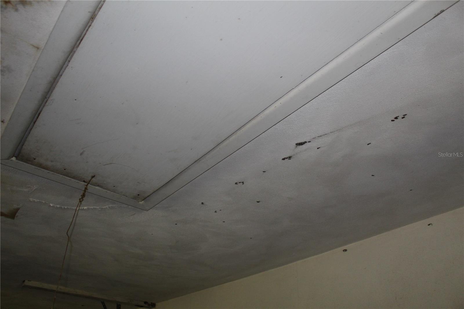 2755 TAYLOR RD, WINTER HAVEN, FL, 33880