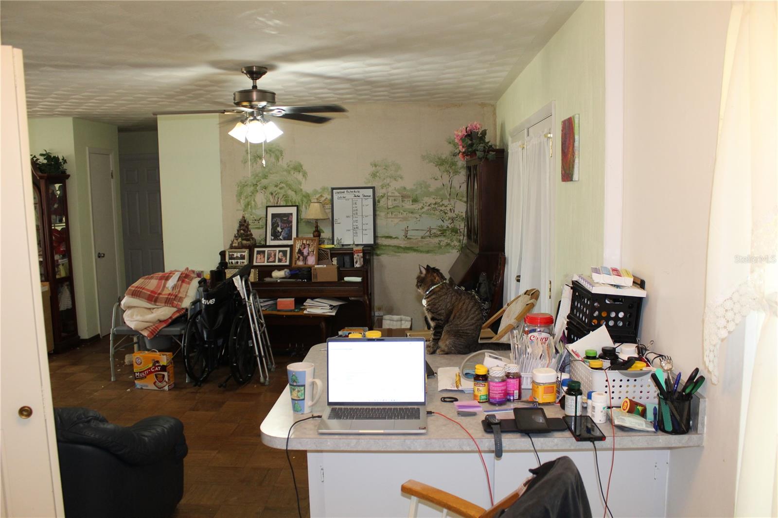 2755 TAYLOR RD, WINTER HAVEN, FL, 33880