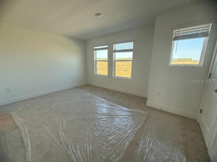 15375 HAMLIN PARK DRIVE, WINTER GARDEN, FL, 34787