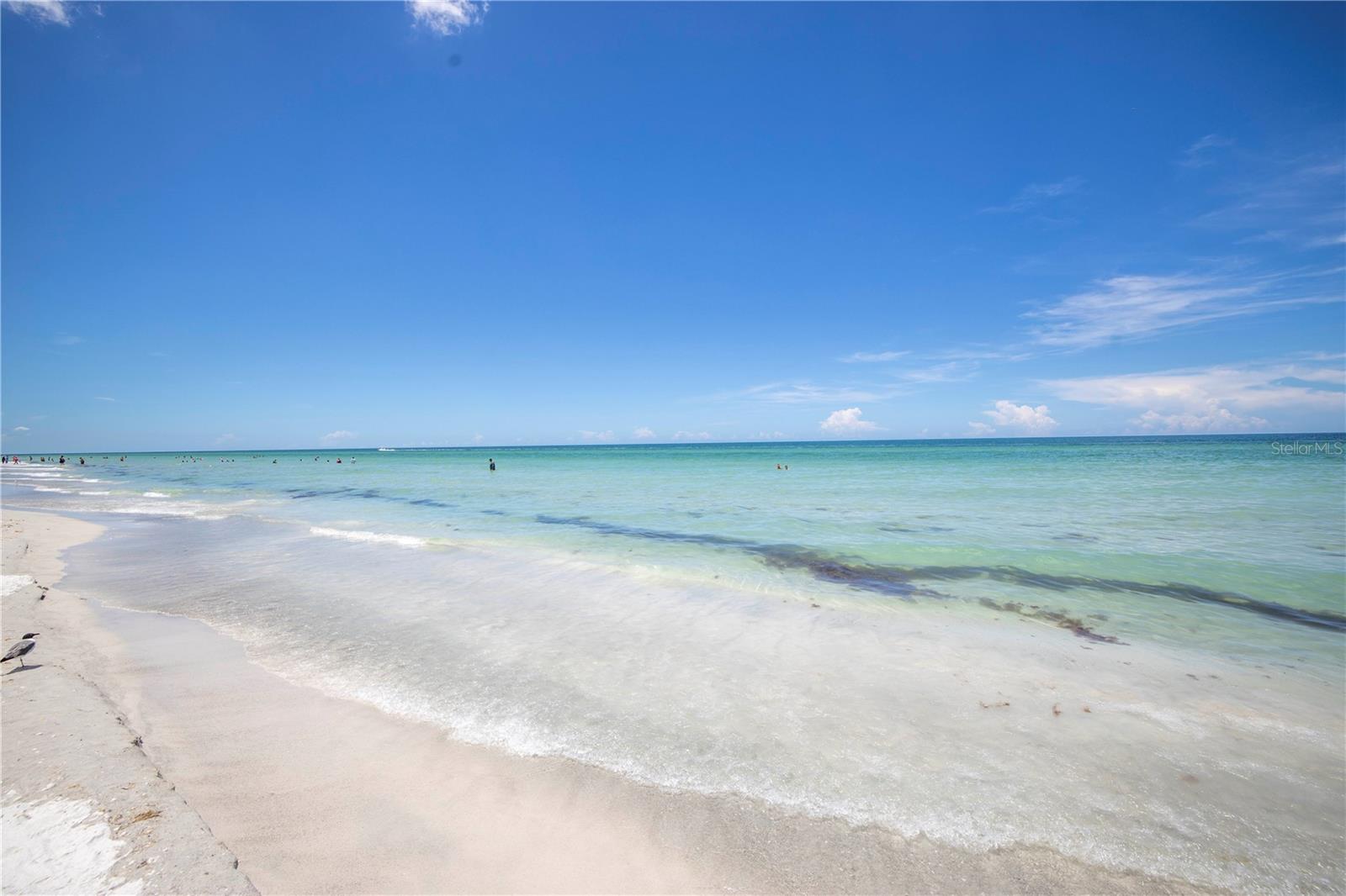 19505 GULF BLVD #304, INDIAN SHORES, FL, 33785