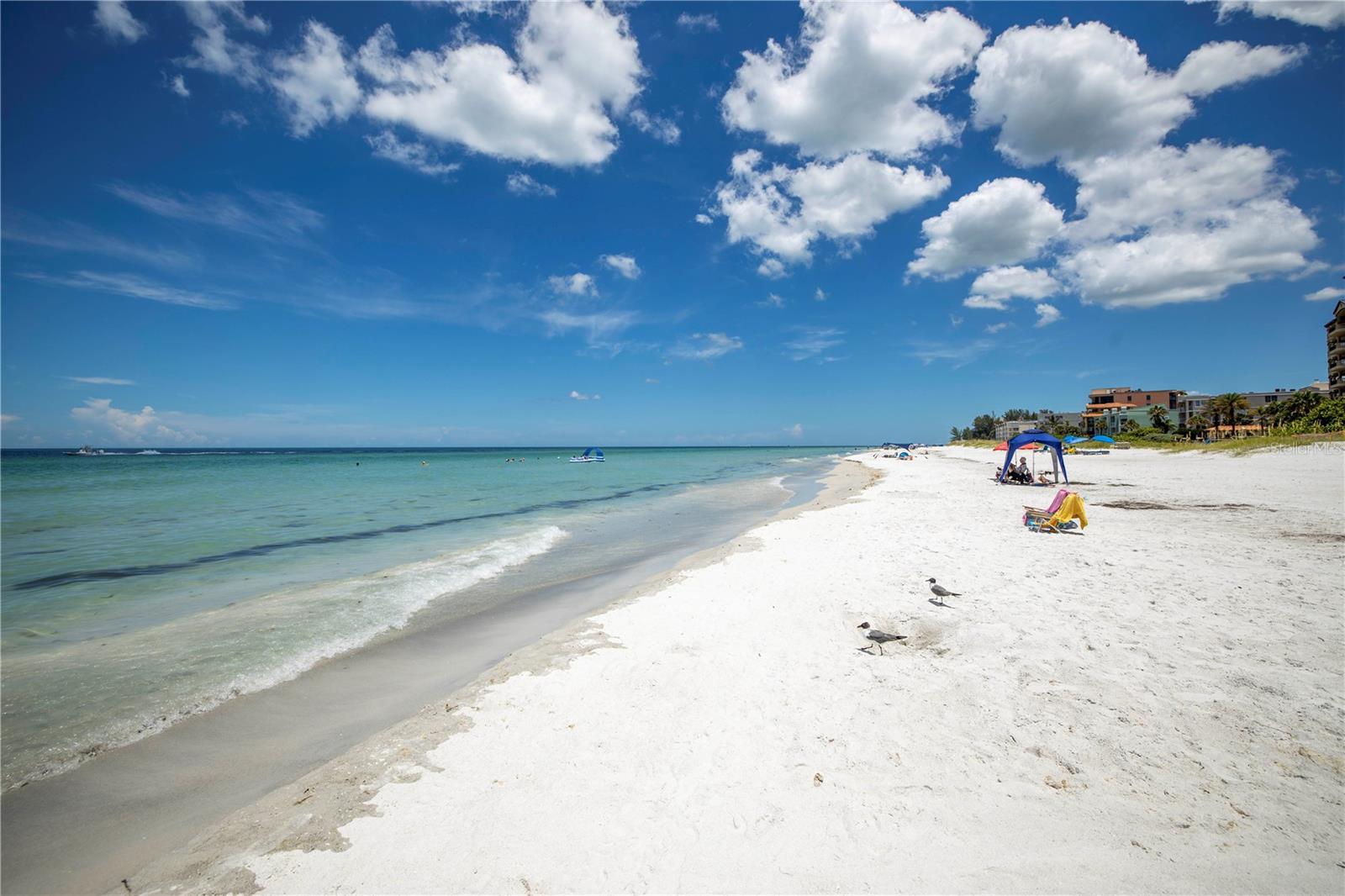 19505 GULF BLVD #304, INDIAN SHORES, FL, 33785