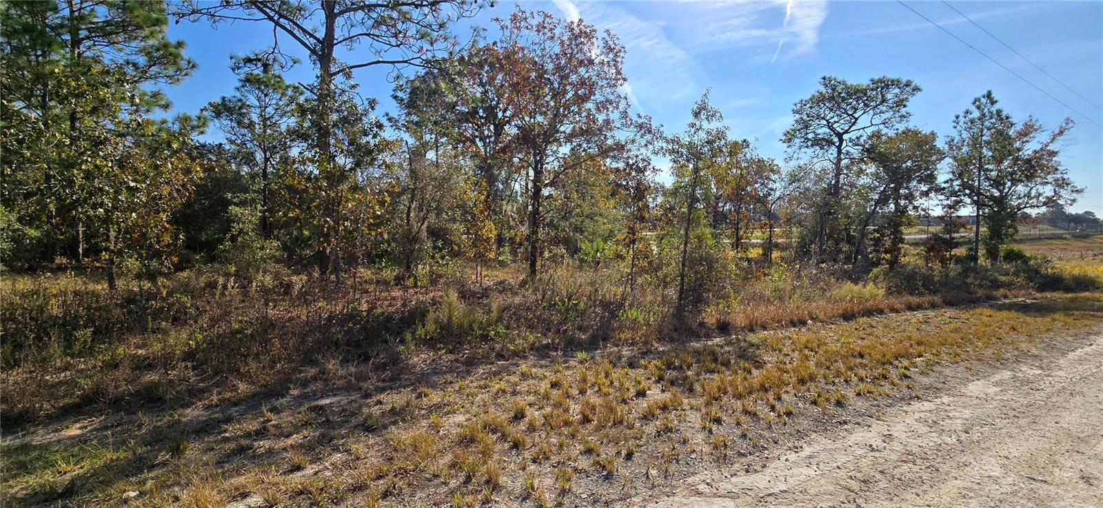 16392 CURLEW RD, BROOKSVILLE, FL, 34614