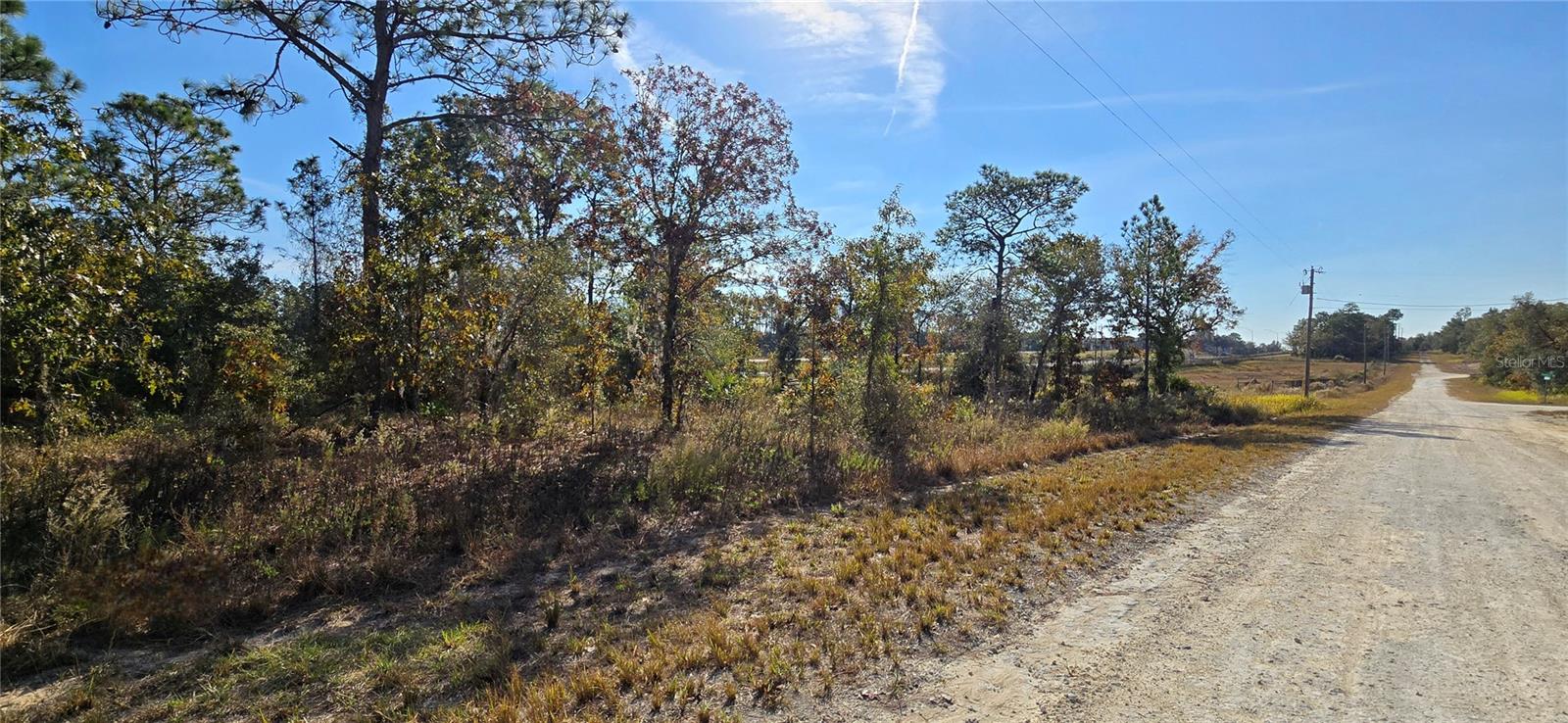 16392 CURLEW RD, BROOKSVILLE, FL, 34614