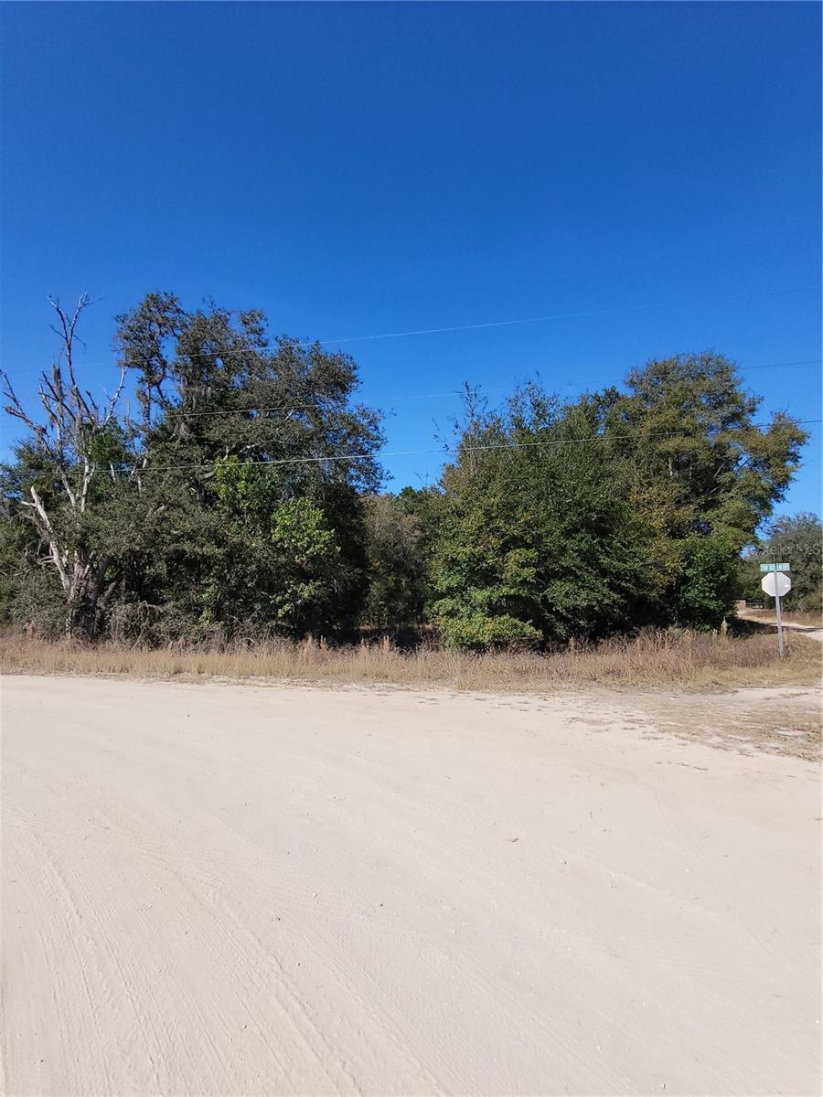 0 SW 132 CT, DUNNELLON, FL, 34432