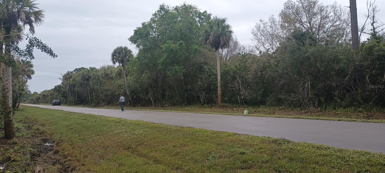 GOLDEN GATE ESTATE UNIT 92, NAPLES, FL, 34117