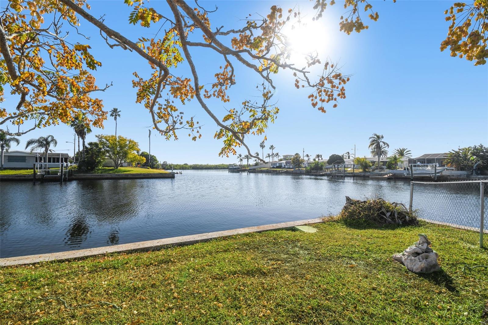 The View from backyard