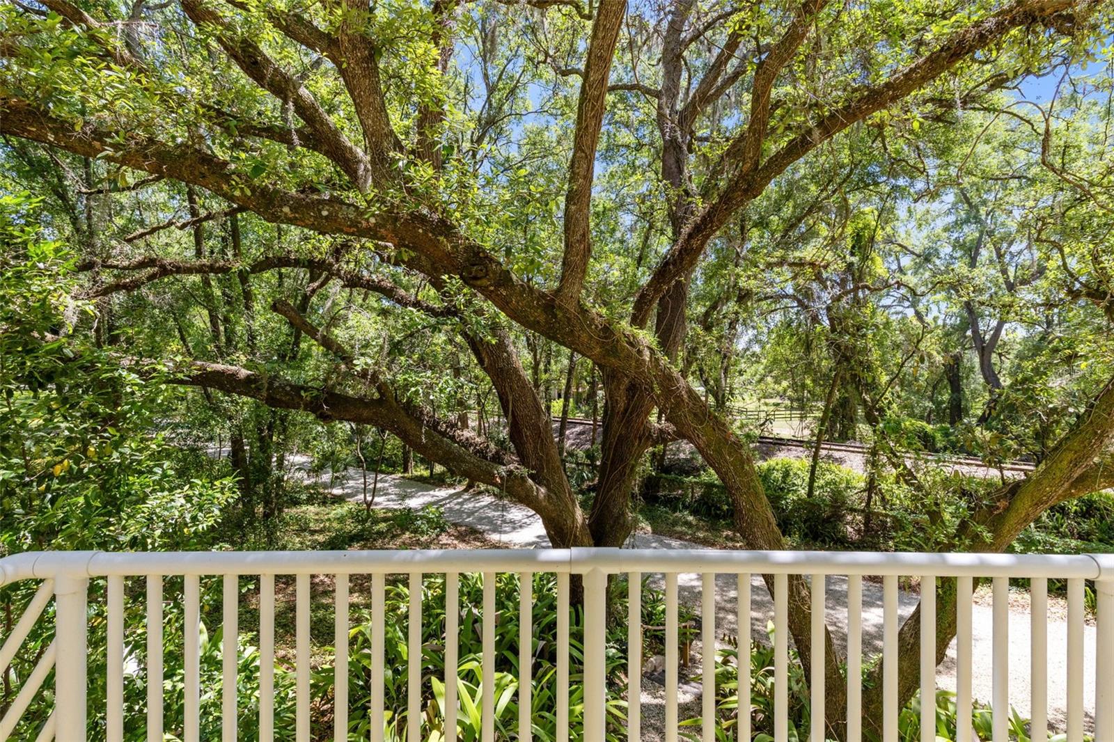 5789 N APOPKA VINELAND RD, ORLANDO, FL, 32818