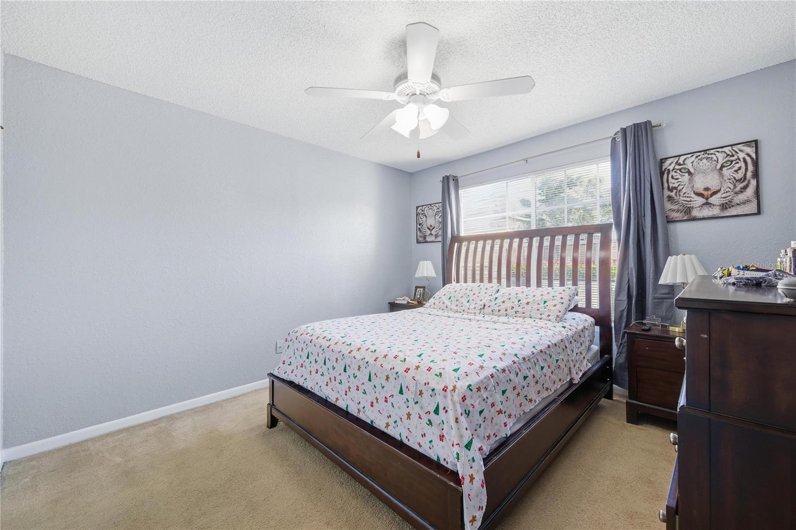 O6362454 Property Photo