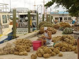 Tarpon Springs the Sponge Capital of the World